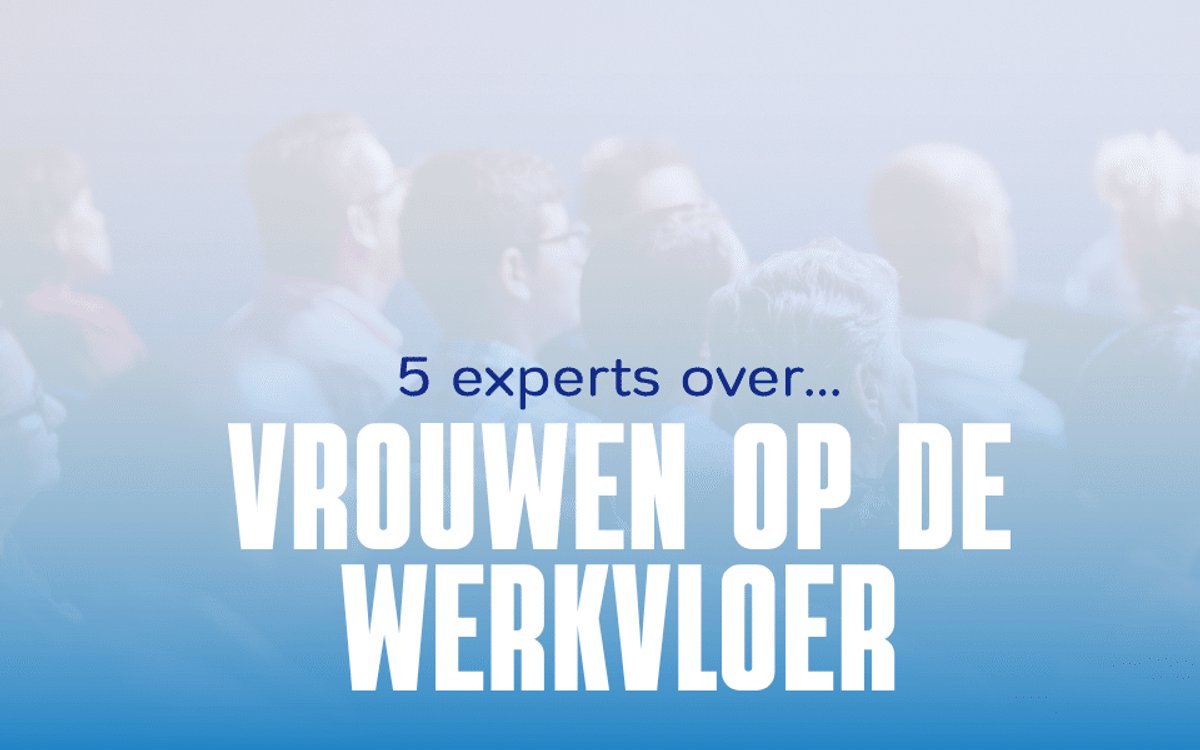 Wat maakt in organisaties het verschil voor vrouwen op het werk?